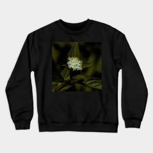 Flowers in the mountains. Crewneck Sweatshirt